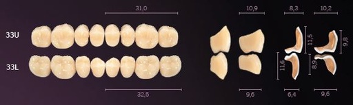 [MOI33UA1] 33-A1 IDEALIS TEETH UPPER POSTERIOR