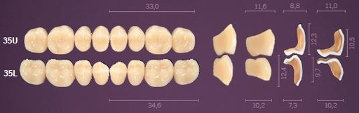 [MOI35LA1] 35-A1 IDEALIS TEETH LOWER POSTERIOR