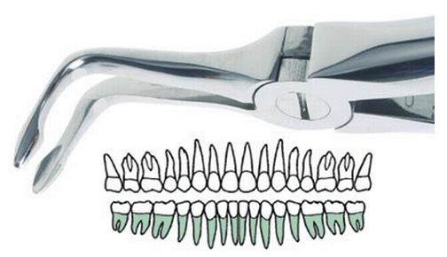 [SABERNARD146] BERNARD BAYONET EXTRACTION FORCEP 146