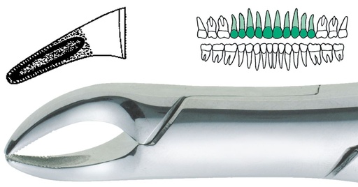 [SADEF150TC] EXTRACTION FORCEPS TC 150
