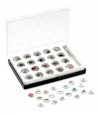 [SC8142] ORTHO DESIGNS KIT PKT 400