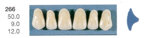 [SE266-D3U] 266-D3U ANTERIOR SENATOR TEETH