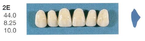 [SE2E-A2U] 2E-A2U ANTERIOR SENATOR TEETH