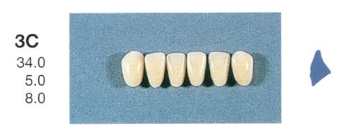 [SE3C-A1L] 3C-A1L ANTERIOR SENATOR TEETH