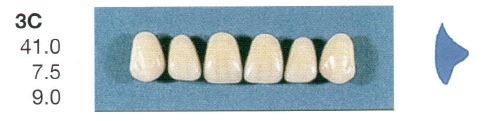 [SE3C-A1U] 3C-A1U ANTERIOR SENATOR TEETH