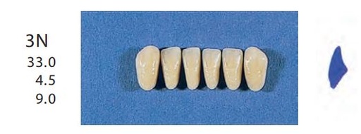 [SE3N-D4L] 3N-D4L ANTERIOR SENATOR TEETH