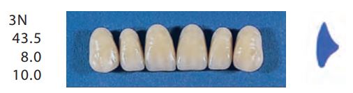 [SE3N-D4U] 3N-D4U ANTERIOR SENATOR TEETH