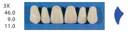 [SE3X-A2U] 3X-A2U ANTERIOR SENATOR TEETH