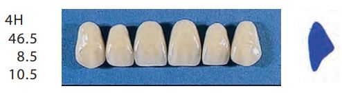 [SE4H-A1U] 4H-A1U ANTERIOR SENATOR TEETH