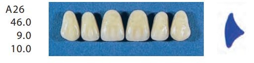 [SEA26-A2U] A26-A2U ANTERIOR SENATOR TEETH