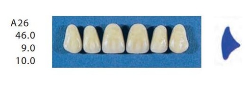 [SEA26-C2U] A26-C2U ANTERIOR SENATOR TEETH