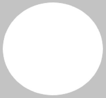 [SORO2WH] M/GUARD RD 2MM WHITE 120MM