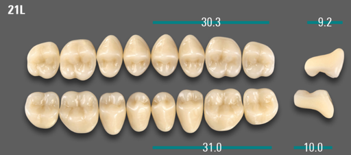 [VIABA3V21LOK] VITA VIONIC VIGO Posterior, A3, 21L OK