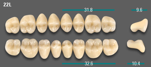 [VIABA3V22LOK] VITA VIONIC VIGO Posterior, A3, 22L OK