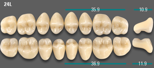 [VIABA3V24LOK] VITA VIONIC VIGO Posterior, A3, 24L OK