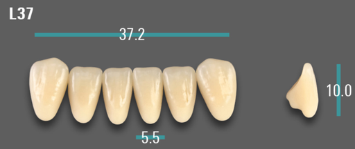 [VIABB3VL37] VITA VIONIC VIGO Anterior, B3, L37