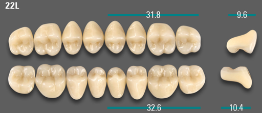 [VIABD3V22LUK] VITA VIONIC VIGO Posterior, D3, 22L UK