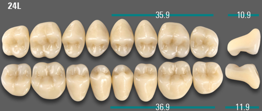 [VIABD3V24LOK] VITA VIONIC VIGO Posterior, D3, 24L OK